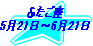 ӂ@521`621